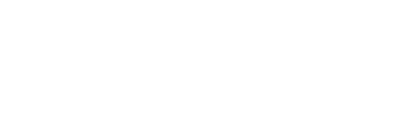 Portal Silcon Tech